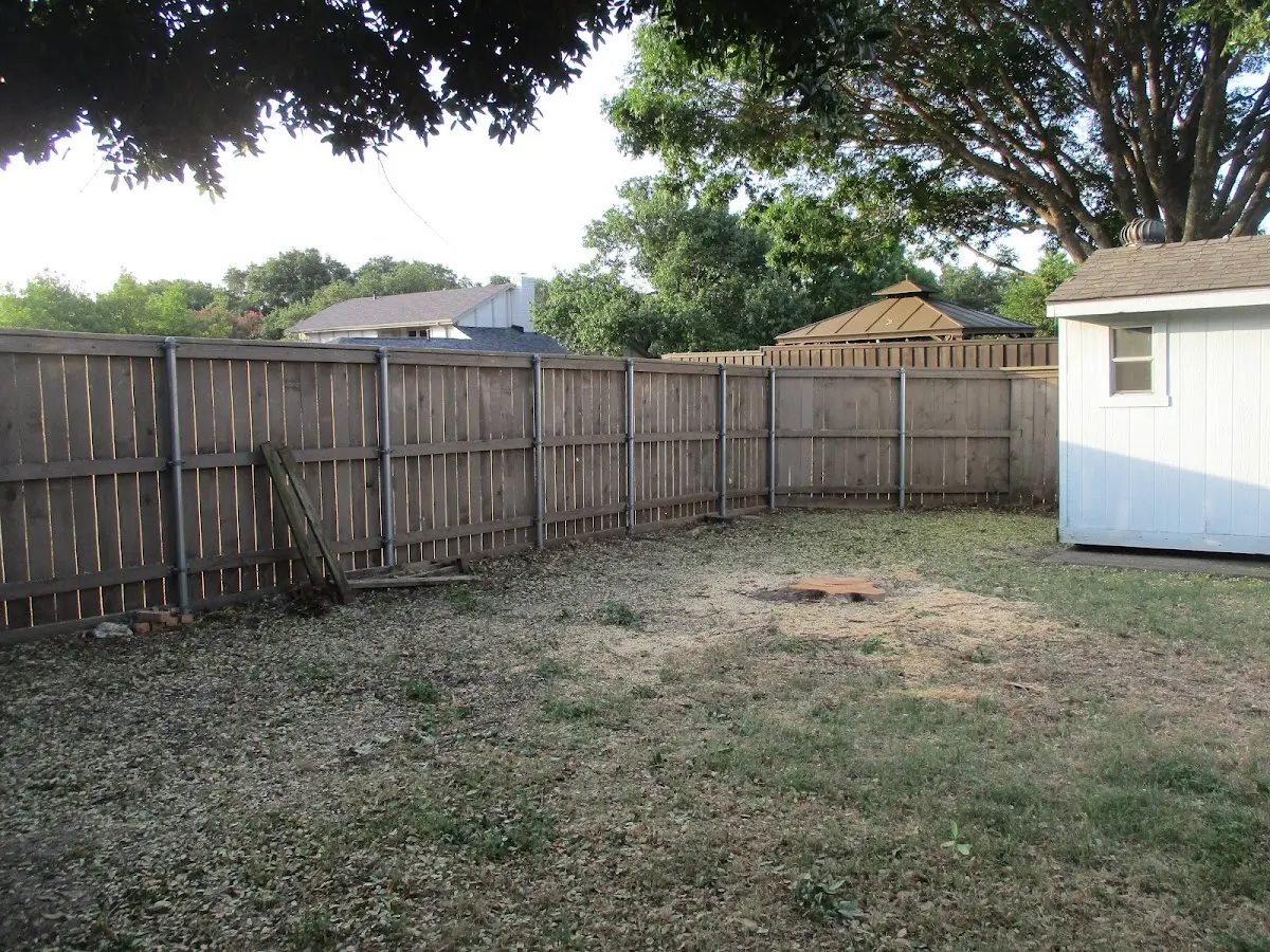 Cleared yard after professional tree removal in Pine Island